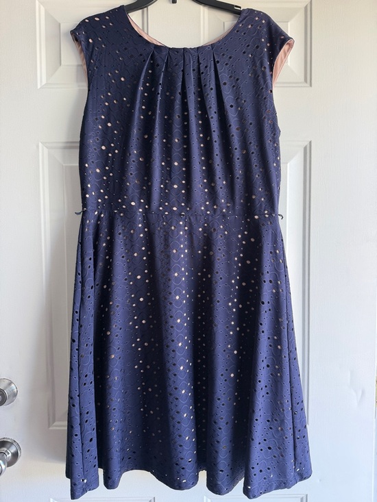 Cb Established 1962 Dresses & Skirts - Navy Eyelet A-Line Dress with Nude Underlay